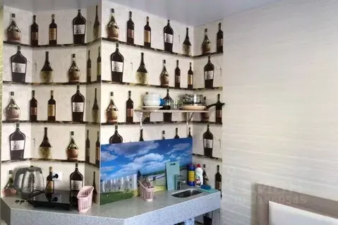 1-к кв. Алтайский край, Барнаул Социалистический просп., 105 (13.0 м)