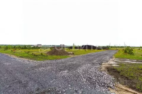 Участок в Тюменская область, Тюменский муниципальный округ, с. Кулига ...