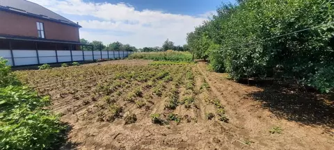 Участок в Краснодарский край, Динской район, Нововеличковское с/пос, ...