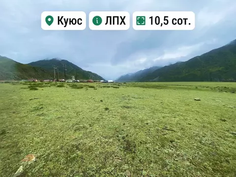 Участок в Алтай, Чемальский район, с. Куюс Центральная ул. (10.5 сот.)