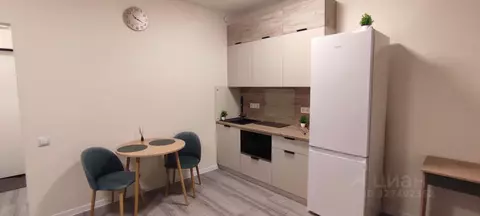 Студия Санкт-Петербург пос. Парголово, ул. Новокузнецкая, 8 (28.0 м)