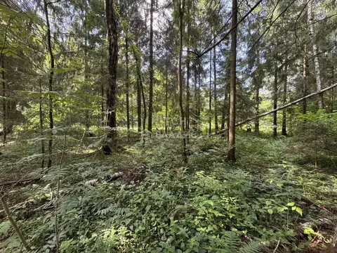 Участок в Московская область, Пушкинский городской округ, д. Могильцы, ...
