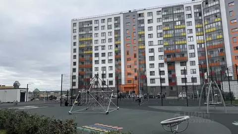 Студия Санкт-Петербург пос. Шушары, просп. Старорусский, 13к1 (23.3 м)