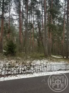 Участок в Санкт-Петербург пос. Солнечное, ул. Петровская (43.15 сот.)