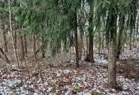 Участок в Московская область, Дмитровский муниципальный округ, ...