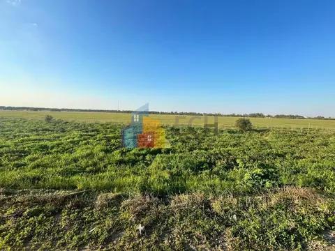 Участок в Тульская область, Новомосковск городской округ, д. Красное ...