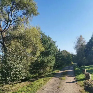 Продается участок в д. Васильево