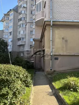 Офис в Псковская область, Псков Народная ул., 23/17 (91 м)