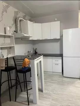 Студия Ростовская область, Ростов-на-Дону просп. Солженицына, 17 (25.0 ...