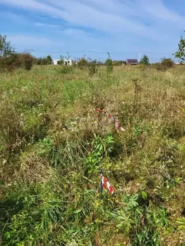 Участок в Калининградская область, Гурьевский муниципальный округ, ...