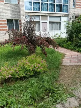 1-к кв. Ленинградская область, Приозерский район, пос. Сосново ул. ...