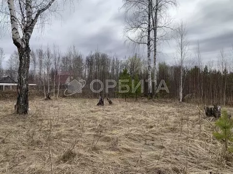 Участок в Тюменская область, Нижнетавдинский район, Сочинские СНТ 17-я ...