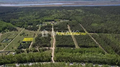 Участок в Рязанская область, Спасский район, Панинское с/пос, д. ...