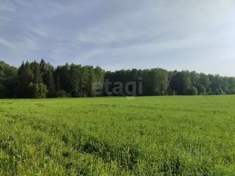 Участок в Марий Эл, Медведевский район, Шойбулакское с/пос, д. Новая ...