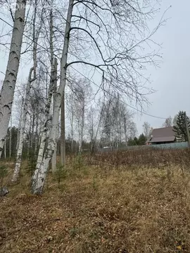 Участок в Свердловская область, муниципальное образование ...