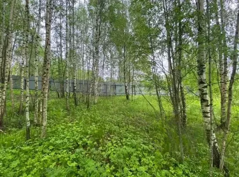 Участок в Владимирская область, Александровский муниципальный округ, ...