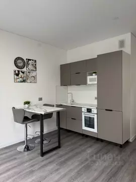 Студия Санкт-Петербург Кубинская ул., 76к1 (24.8 м)