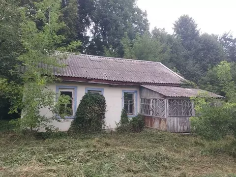 Дом в Брянская область, Унечский район, Ивайтенское с/пос, д. Новое ...