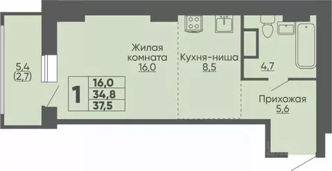 Студия Чувашия, Чебоксары ул. Академика РАН Х.М. Миначева, поз11 (37.5 ...