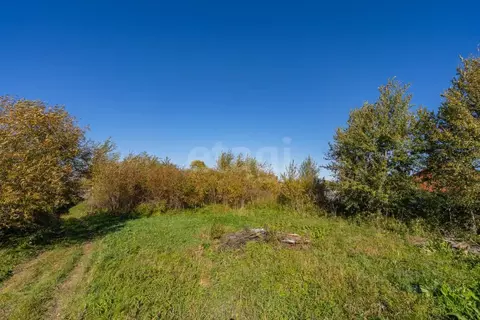 Участок в Хабаровский край, Хабаровский район, с. Ракитное  (5.5 сот.)