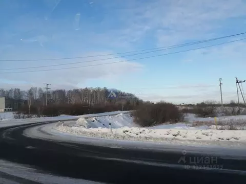 Участок в Тюменская область, Тюменский район, Онегин кп ул. Татьяны ...
