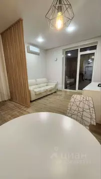 Студия Новосибирская область, Новосибирск Красный просп., 167/3 (32.0 ...