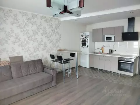 Студия Новосибирская область, Новосибирск ул. Виктора Шевелева, 24 ...