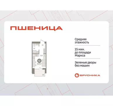 Студия Новосибирская область, Новосибирский район, Краснообск рп ...