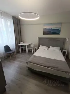 Студия Санкт-Петербург Витебский просп., 99к1 (22.0 м)