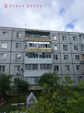 2-к кв. Самарская область, Жигулевск Механический пер., 3 (50.0 м)