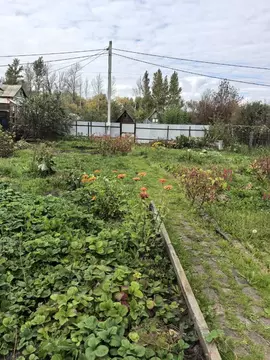 Участок в Омская область, Омск Испытатель СНТ, аллея 1-я (3.5 сот.)