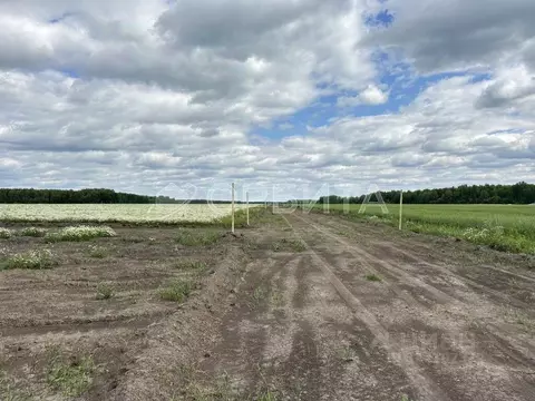Участок в Тюменская область, Тюменский муниципальный округ, ...
