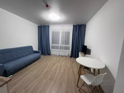 Студия Москва ул. Трехполье, 6к1 (24.0 м)