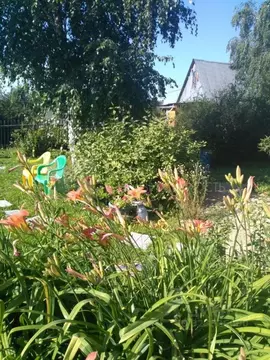 Дом в Тюменская область, Тюмень Металлист СНТ, ул. Центральная (41 м)