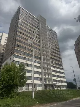 Студия Московская область, Ногинск Богородский городской округ, ул. ...