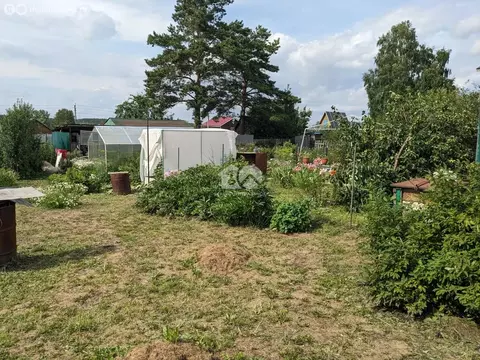 Дом в Мочищенский сельсовет, СНТ Горняк (10 м)