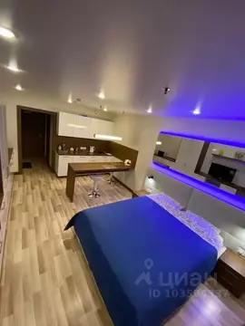 1-к кв. Санкт-Петербург ул. Хошимина, 16А (30.0 м)