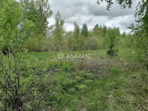 Участок в Владимирская область, Камешковский муниципальный округ, пос. ...