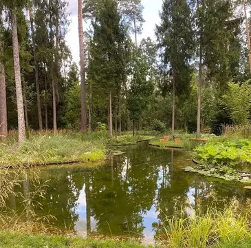 Участок в Московская область, Одинцовский городской округ, пос. ...
