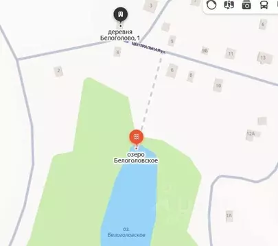 Дом в Ленинградская область, Тосненский район, Шапкинское с/пос, д. ...
