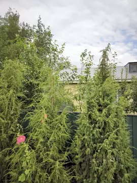 3-к кв. Владимирская область, Муром Стахановская ул., 17 (58.6 м)