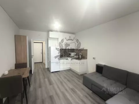 Студия Санкт-Петербург Дальневосточный просп., 19к1 (24.5 м)