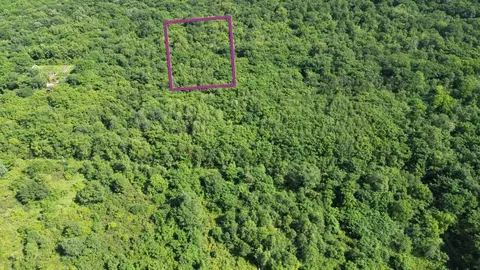 Участок в Приморский край, Шкотовский муниципальный округ, с. ...