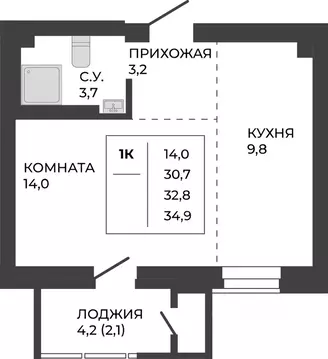 1-к кв. Алтайский край, Барнаул тракт Павловский, 251Б (32.8 м)