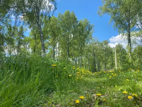 Участок в Тульская область, Заокский район, Демидовское с/пос, ...