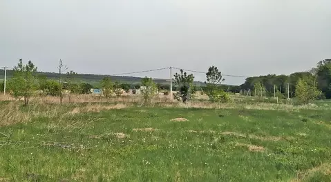 Участок в Ставропольский край, Ставрополь Прелесть садовое ...