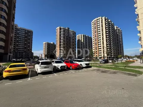 Помещение свободного назначения в Краснодарский край, Краснодар ...