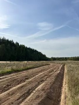 Участок в Московская область, Раменский муниципальный округ, Опушкино ...