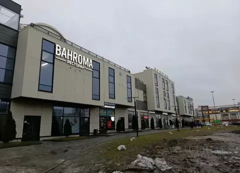 Помещение свободного назначения в Санкт-Петербург Заневский просп., ...