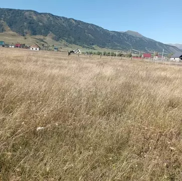 Участок в Алтай, Усть-Коксинский район, с. Усть-Кокса ул. Южная, 59 ...